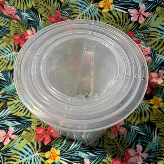 Tall Clear Aeration Repotting Pot