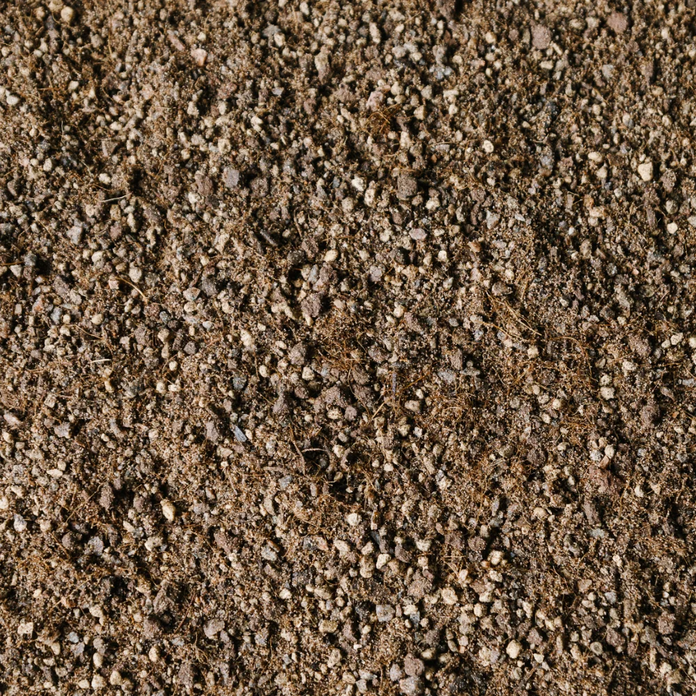 Premium Cacti and Succulent Blend