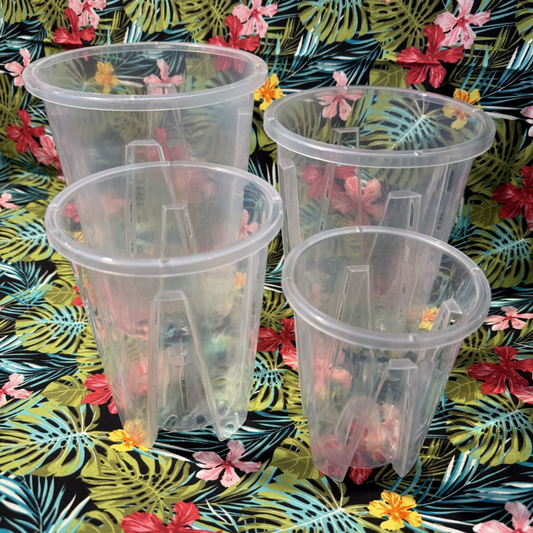 Tall Clear Aeration Repotting Pot
