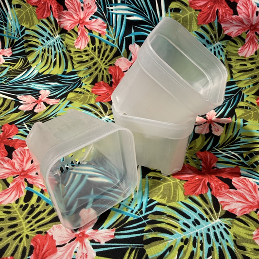 5cm Square Propagation Pot