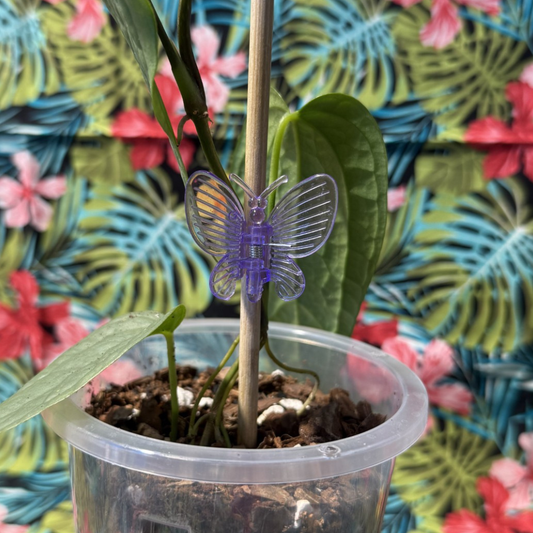 Butterfly Plant Support Clips 10pk