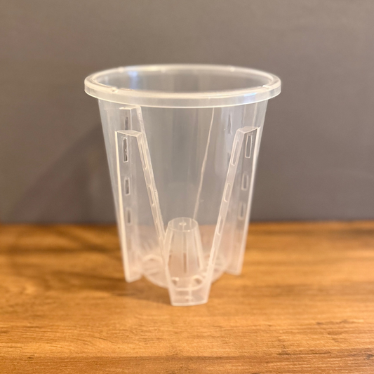 Tall Clear Repotting Pot (Anthurium / Orchid)