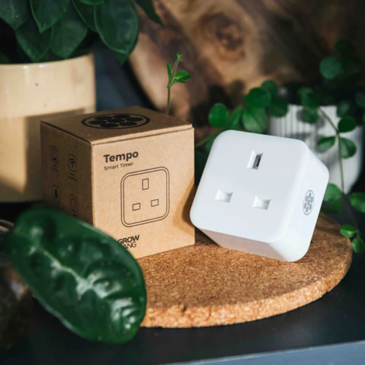 Tempo Smart Timer