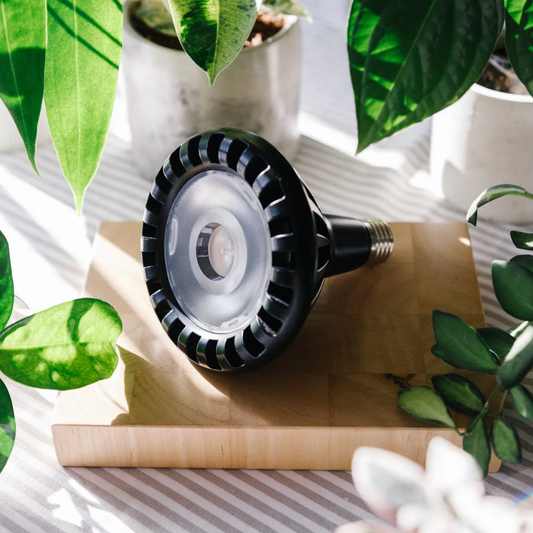 Pianta 30 Grow Light LED Bulb