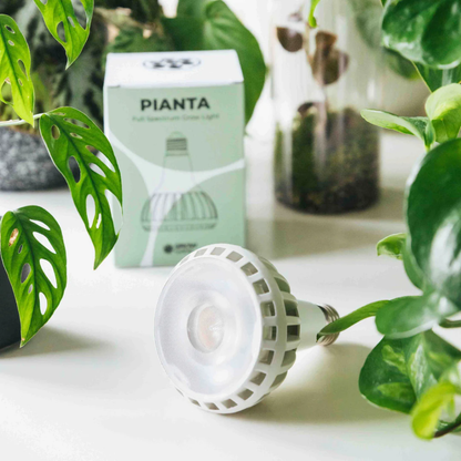 Pianta Grow Light LED Bulb