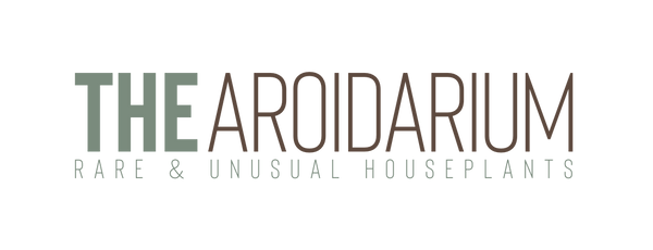 The Aroidarium